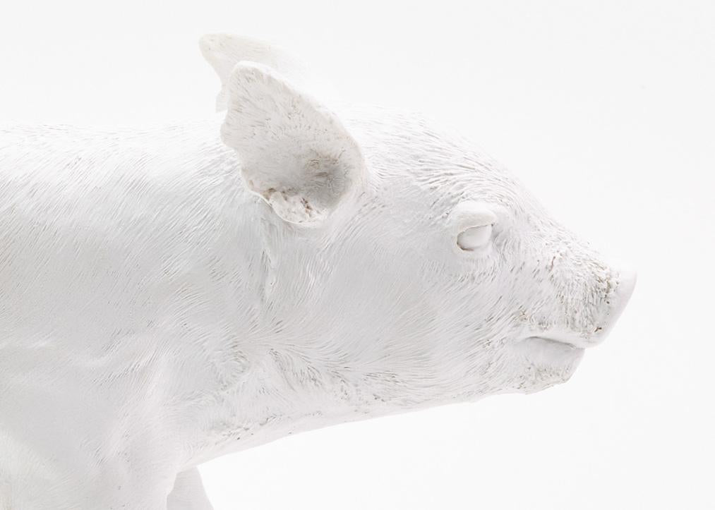 areaware reality piggy bank (matte white)